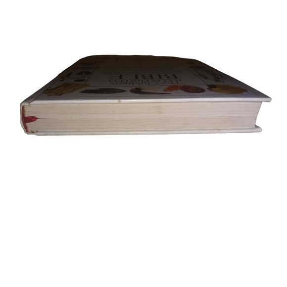 VTG The Children's Illustrated Bible Dorling Kindersley 1994 Child Bible - Picture 12 of 12